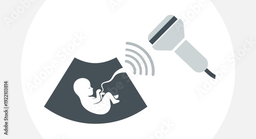 Ultrasound Scan of Fetus in Womb
