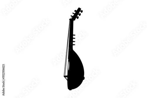Silhouette of a Sitar: A detailed silhouette of a sitar stands in stark contrast. Its elegant curves and intricate design elements, capturing the essence of music and culture.