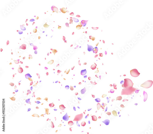 Elegant flying pastel pink purple flower petals circular motion swirl for perfume and fabric softener advertisement  Valentines Day space vector illustration