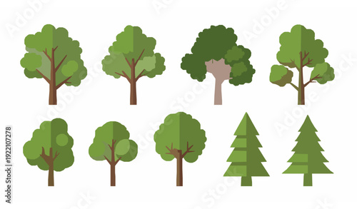 Tree vector illustration set with deciduous and coniferous forest plants in green natural design