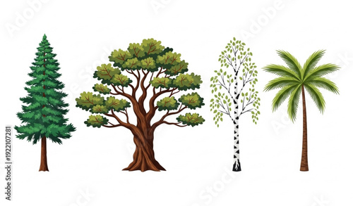 Tree collection vector illustration with pine, oak, birch, and palm forest foliage design