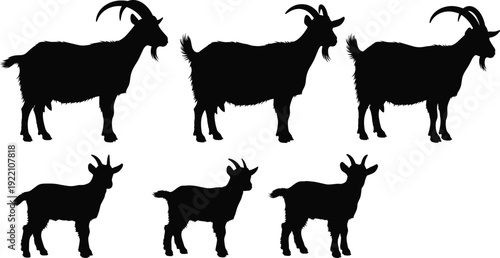 Black vector silhouette set of adult goats with horns and young kids for organic livestock farming agriculture dairy production and rural animal husbandry branding