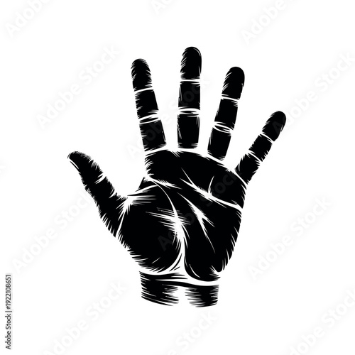 Open human hand shows five fingers in a raised gesture against a white backdrop.