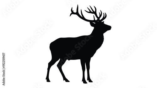 A black silhouette of an elk with large antlers isolated on white background, Vector