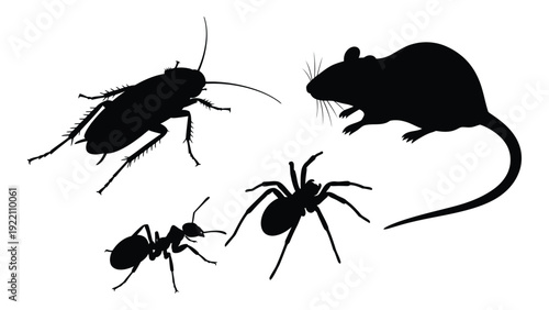 Black silhouettes of a mouse and insects on a white background isolated on white background, Vector