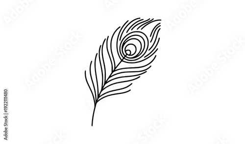 Minimal peacock feather plume line art vector illustration isolated on transparent background