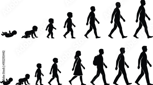 Human life cycle silhouettes from baby to adult, male and female growth stages walking evolution isolated on white