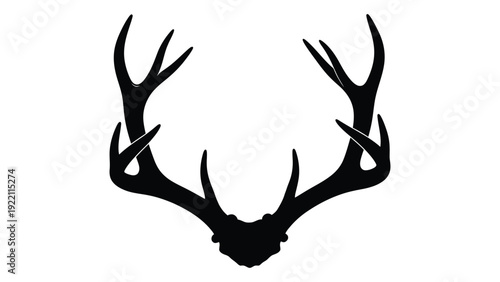 A black silhouette of a deer antler on a white background isolated on white background, Vector