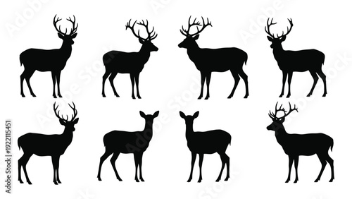 A group of deer silhouettes standing in different poses isolated on white background, Vector