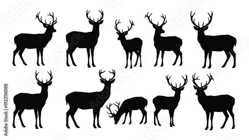A group of deer silhouettes in various poses isolated on white background, Vector