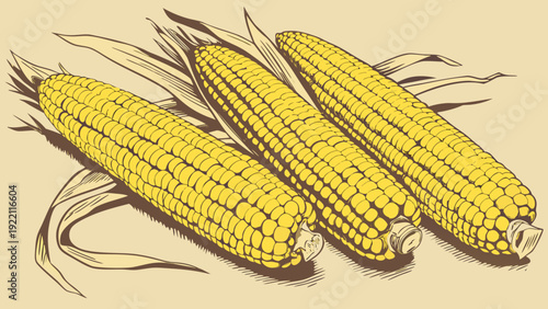 Three ripe yellow corn cobs with husks on a light background.