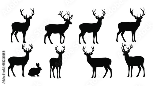 A group of deer silhouettes on a white background isolated on white background, Vector