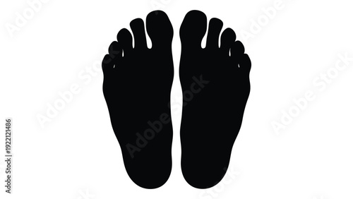 A pair of feet with five toes on each foot isolated on white background, Vector