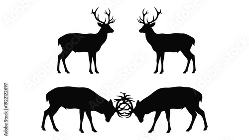 Four deer silhouettes with two butting heads isolated on white background, Vector
