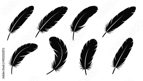 A group of black feathers on a white background isolated on white background, Vector