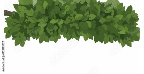 Lush Tropical Leaf Canopy Border Green Tree Branch Close Up Botanical Vector Isolated on White