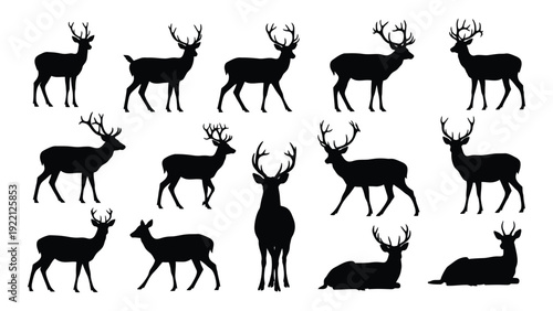 A group of deer silhouettes in various poses isolated on white background, Vector