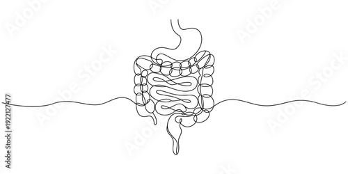 Intestines continuous one line drawing, Selfie drawing of human intestines by one line on a white background. Esophagus  for health and nutrition whiteboard presentation. 