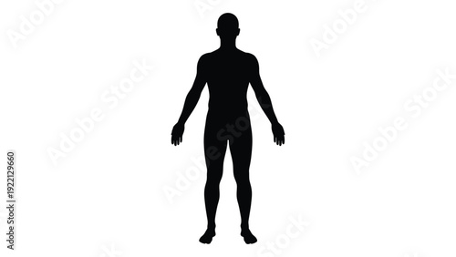 A black silhouette of a human figure standing upright isolated on white background, Vector
