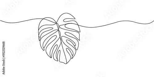 Elegant monstera leaf continuous one line minimalist art design, Hand-drawing one continuous line art of tropical monstera leaves. one line Icon drawing with white background