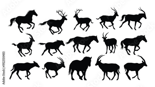 Silhouettes of various animals in different poses isolated on white background, Vector