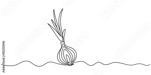 onion stalk continuous one line drawing, Leeks, fresh onion stalk illustration, background. One line drawing art illustration with lettering organic leeks, Fresh ingredient concept for veget
