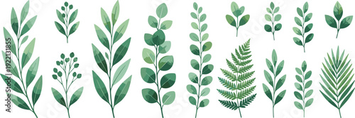Green botanical leaves collection, natural foliage plants vector illustration isolated on white background