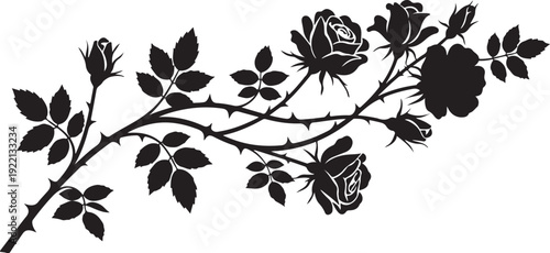 Black rose branch, floral silhouette, thorn stem, dark botanical vector