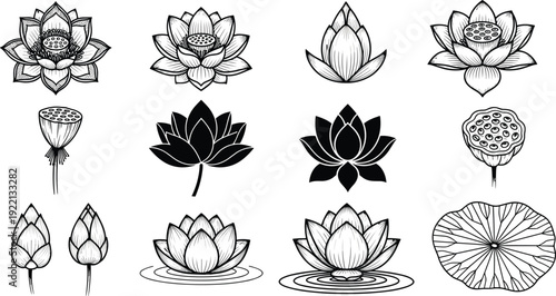 Lotus Flower Silhouette Collection Set Black and White Floral Vector Illustration Isolated on White Background