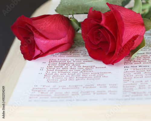 Slika na platnu Bible open to the lord's prayer with a red rose on the page