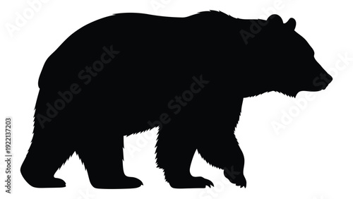 A black silhouette of a bear walking on a white background isolated on white background, Vector