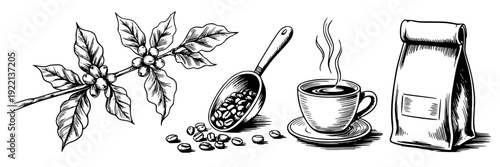 Coffee beans illustration with cup and coffee bag sketch featuring coffee beans, coffee cup, coffee bag with coffee illustration and coffee sketch elements for coffee beans illustration, coffee cup
