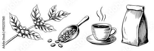 Coffee hand drawn set with beans branch, spoonful of roasted seeds, steaming cup and saucer, and paper bag packaging in black ink sketch style isolated