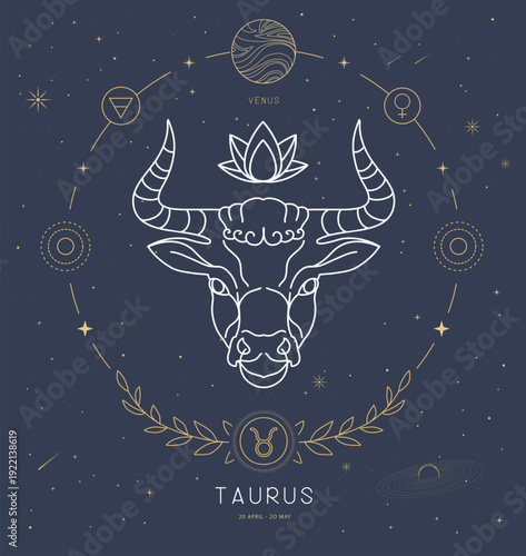 Modern magic witchcraft card with astrology Taurus zodiac sign characteristic. Vector illustration