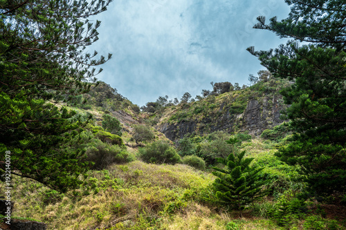Sea Cliff Bridge coastal bridge and ocean views with seaside restaurant, street scene and colorful parrots along the Pacific coast, New South Wales, Australia editorial travel landscape