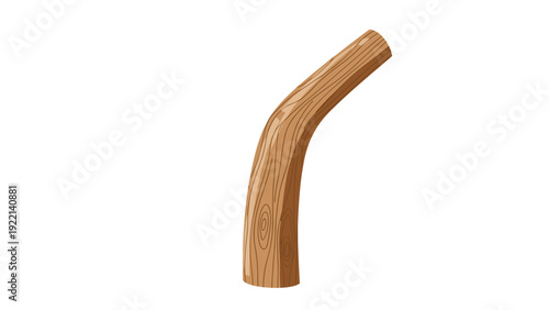 Detailed vector illustration of a curved wooden plank or branch segment showing natural wood grain patterns and a prominent knot on white.