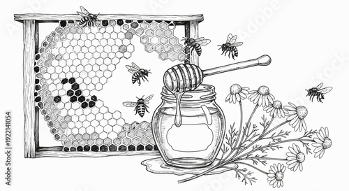 Honey bees honeycomb jar and chamomile illustration for natural product design