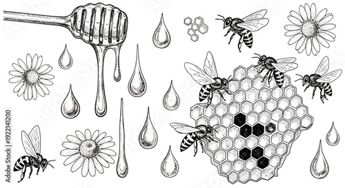Honey dripping from dipper with bees and honeycomb illustration