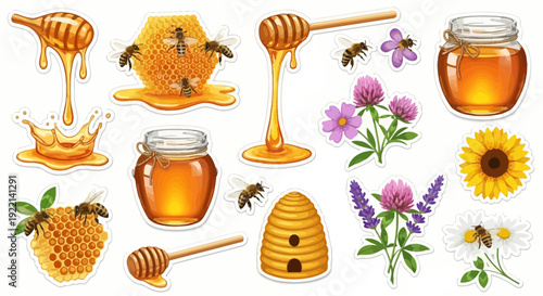 Honey elements jars bees honeycomb flowers and dippers illustration