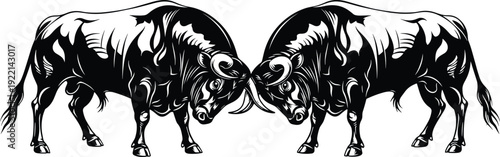 Black bull silhouettes charging and fighting with sharp horns isolated on white background for powerful animal mascot and heraldry design