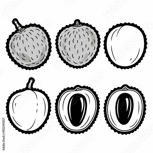 Lychee Fruit Vector Set: Whole and Halved Litchi Illustrations with Seed, Black and White Graphic for Tropical Food and Healthy Eating Concepts.