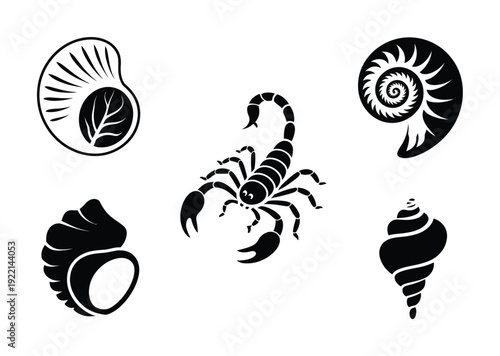 Black and White Silhouettes of a Scorpion and Various Seashells