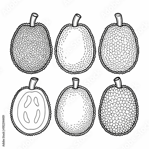 Outline Illustrations of Jackfruit: Whole and Halved Tropical Fruit with Varied Skin Textures for Coloring or Graphic Design.
