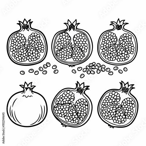 Hand-drawn Pomegranate Illustration Set: Whole, Halved Fruits, and Loose Seeds in Black and White Line Art for Food and Health-related Designs.