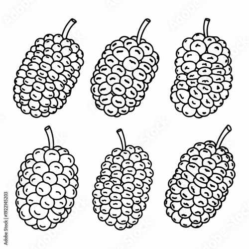 Black and white hand-drawn mulberry illustrations set. Simple outline sketch of fresh summer berries for healthy eating, cooking, and fruit-themed designs.
