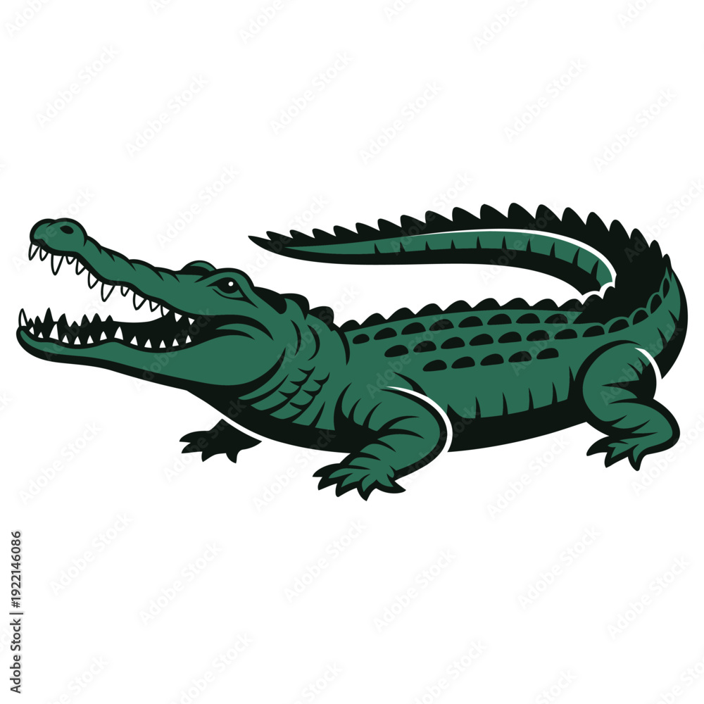 Fototapeta premium crocodile isolated on white