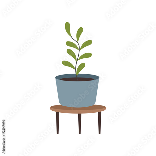 Potted Green Plant on a Small Table. Green Plant Display. Potted Plant. Indoor Potted Plant. Small Table with Lush Green Plant