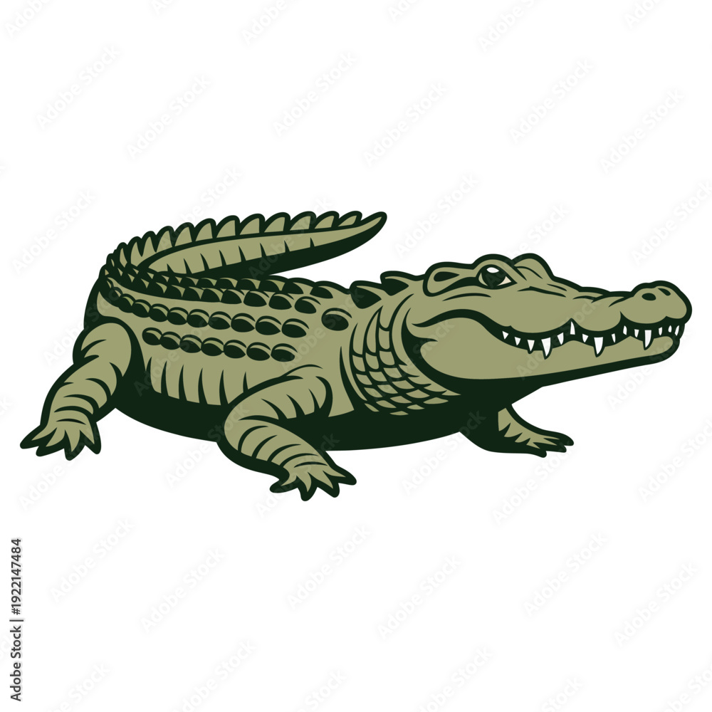 Obraz premium crocodile isolated on white