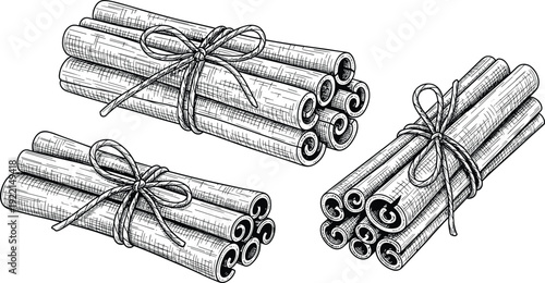 Hand Drawn Cinnamon Stick Bundles Vector Illustration Vintage Engraving Style Spice Ingredient Collection