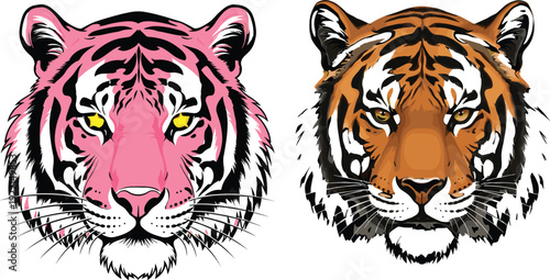 Pink Tiger Head and Traditional Bengal Tiger Mascot Set with Star Eyes and Fierce Wild Animal Illustrations for Sports Team Logos and Apparel Design Vector